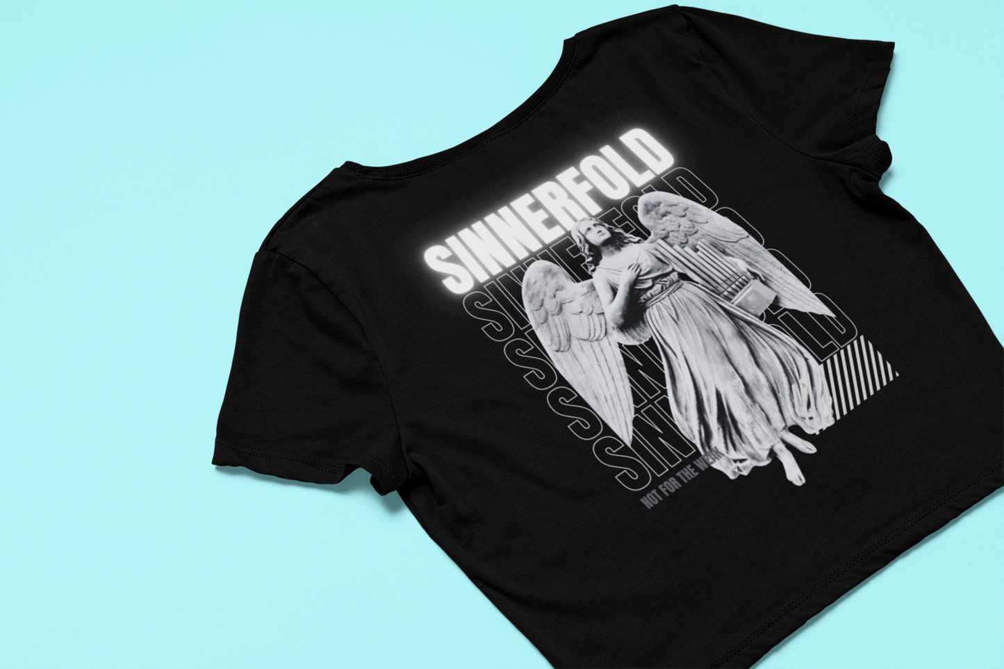 angel in disguise crop